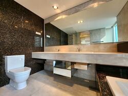St. Regis Residences (D10), Apartment #606380441